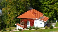 Obligatoriu pentru cei care au copaci în curte. Trebuie să faceți notificare scrisă către vecin. Termenul este de 30 de zile
