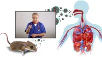 Hantavirusul, virusul transmis de rozătoare! Medicul Tudor Ciuhodaru explică simptomele și când trebuie să ajungi urgent la spital