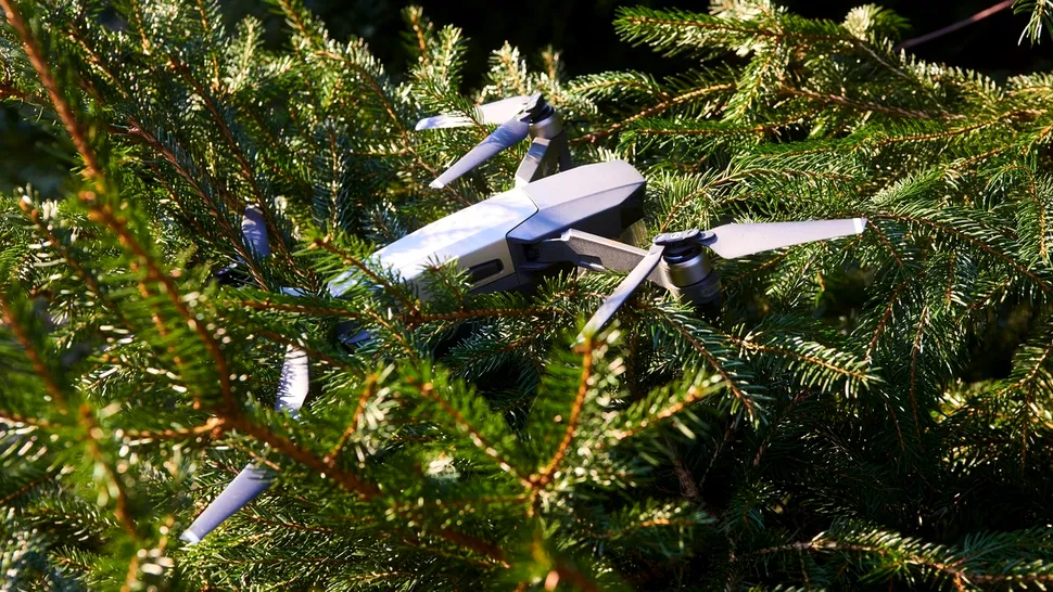 Descoperire surpinzătoare făcută la o dronă care a ajuns într-un copac în timp ce trecea ilegal granița (FOTO)