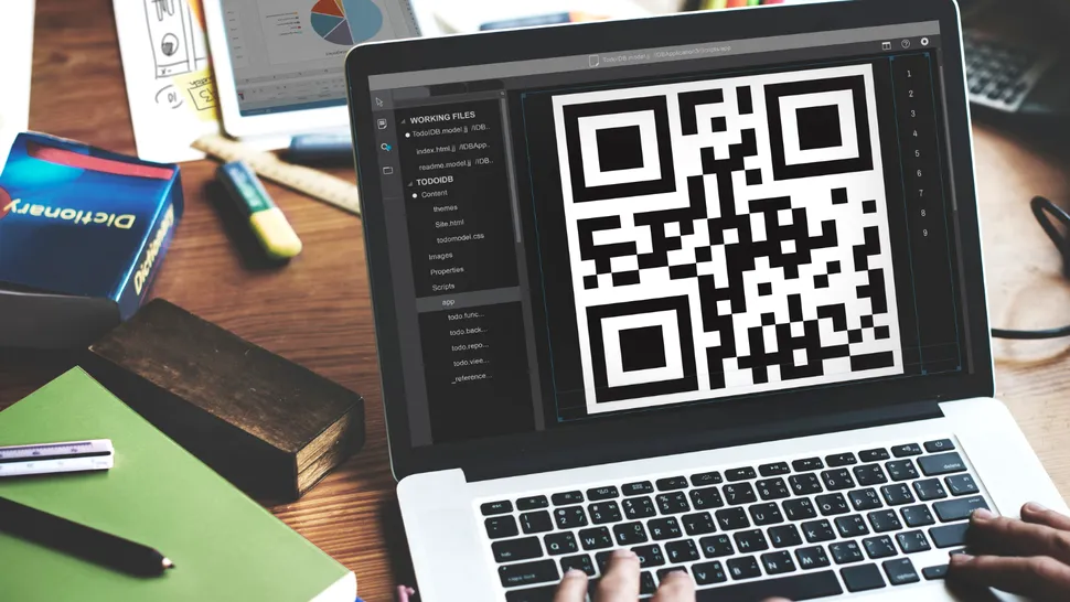 Doi tineri din Craiova modificau codurile QR ale livrărilor online pentru a nu plăti rambursul. Prejudiciu estimat la 37.000 de lei