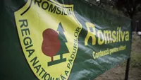 Conducerea Romsilva, convocată de urgență la Ministerul Mediului. Contracte de peste 28 de milioane de lei, atribuite fără publicare