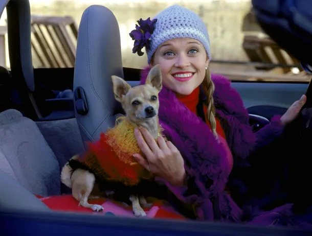 Sfatul brutal dat de actrița din „Blonda de la drept”, cu avere de 400 mil. de dolari, unei tinere: „Nu-ți mai urma visurile”