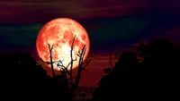 Luna Vânătorului luminează România. Ce trebuie să faci neapărat pentru a afla cine „te vânează”