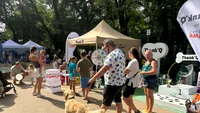 WOOF Fest | Festivalul lui Bobiță revine în București, pe 23-24 mai 2026: tot ce trebuie să știi despre evenimentul pentru iubitorii de câini