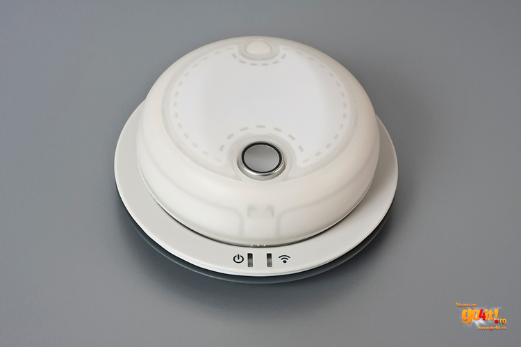 Orbita Mouse