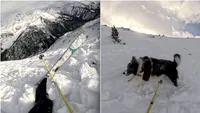 Schior și câinele lui, surprinși de o avalanșă uriașă. Momentul a fost filmat (VIDEO)