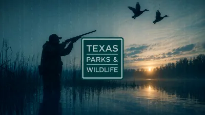 O breșă masivă de securitate la o agenție a guvernului statului Texas expune datele a 3 milioane de persoane