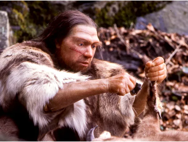 Antibioticul natural al neanderthalienilor: Foloseau „smoală” pentru a preveni infecțiile