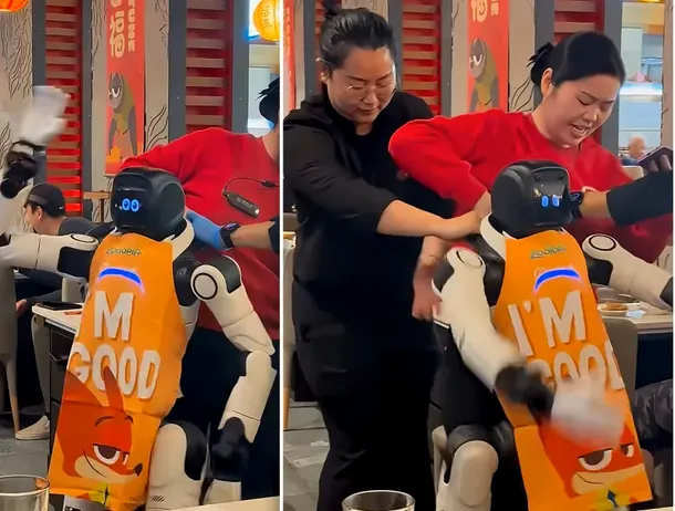 Un robot chelner a început să spargă farfurii i să danseze în mijlocul unui restaurant