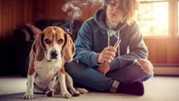 Vapatul în casă poate îmbolnăvi grav animalele de companie: Veterinarul avertizează asupra riscurilor țigărilor electronice
