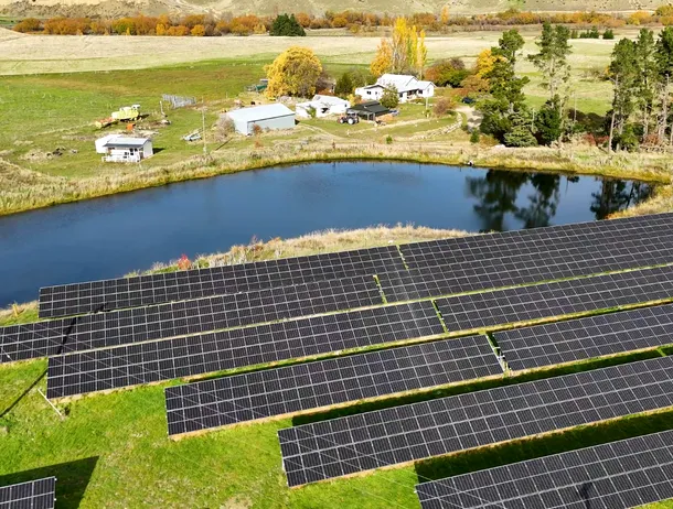 Parcurile solare au un efect alarmant asupra albinelor și fluturilor