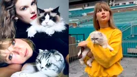 Nume de animale inspirate de celebrități: Taylor Swift, Charli XCX și Elvis domină topurile / Cum influențează vedetele numele câinilor și pisicilor