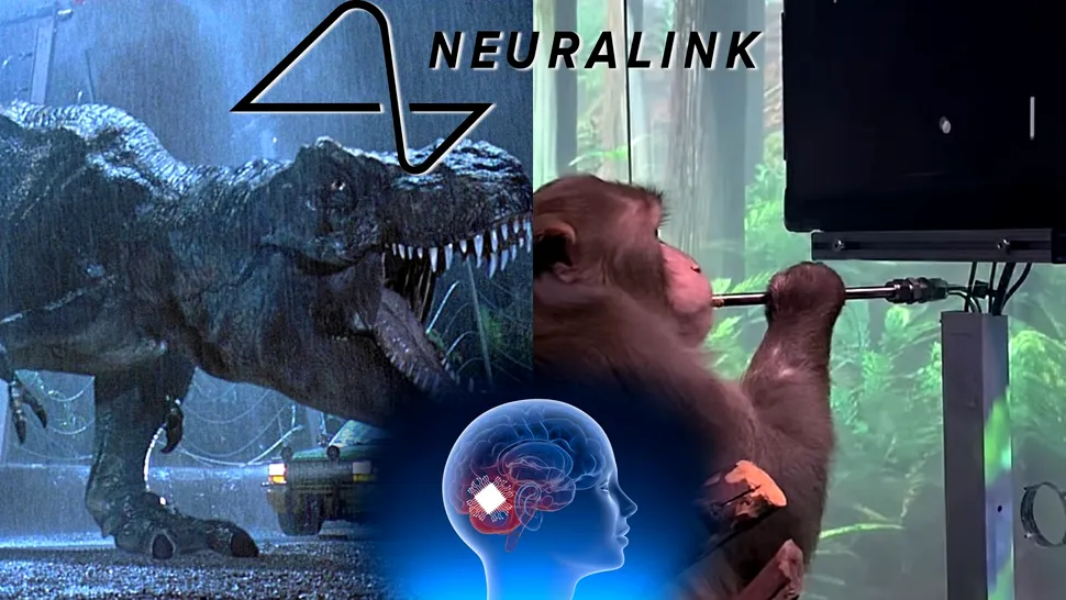 Neuralink ar putea crea un Jurassic Park real. O maimuță cu cip Neuralink poate să joace Pong prin comenzi neurale