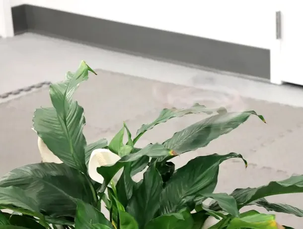 Phantom Twist: Cercetătorii au creat o dronă mult mai greu de observat cu ochiul liber – VIDEO