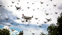 Micro-dronele și roboții fără motoare ar putea revoluționa domenii precum medicina