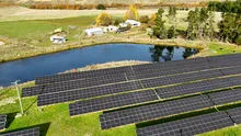 Parcurile solare au un efect alarmant asupra albinelor și fluturilor