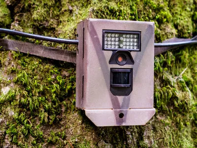 Ochiul digital din păduri, vandalizat: Cum răspunde Ministerul Mediului la distrugerea a nouă camere de supraveghere finanțate prin PNRR