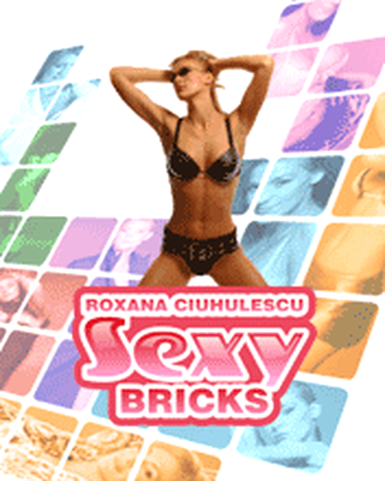 Roxana Ciuhulescu Sexy Bricks