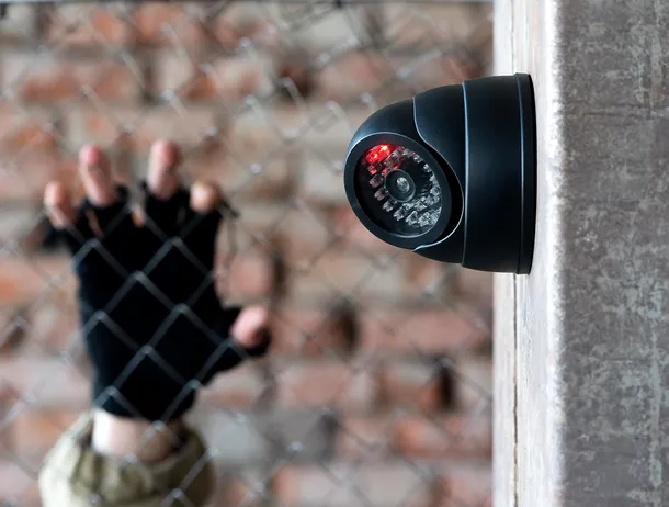 IPJ Timiș dezvăluie cum erau bruiate alarmele și camerele video în timpul spargerilor