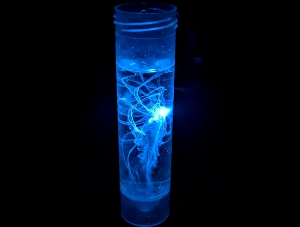 Doi bărbați au furat un cilindru albastru strălucitor dintr-un spital abandonat — și au declanșat un coșmar nuclear