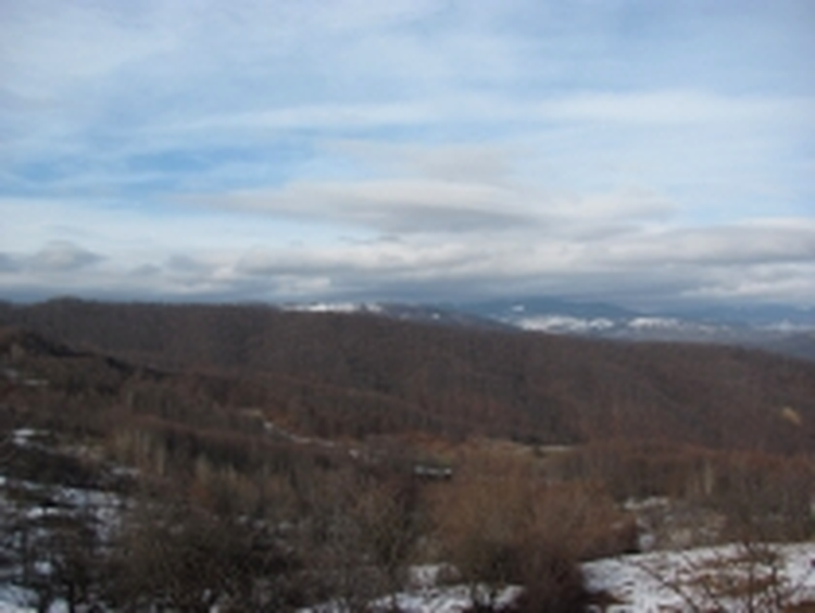 Wide (36 mm)