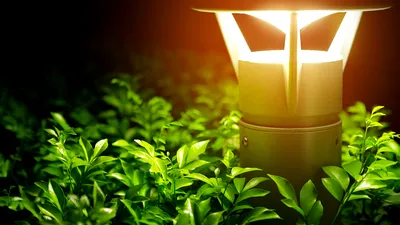 Lămpile solare și plantele: O combinație bună sau dăunătoare?