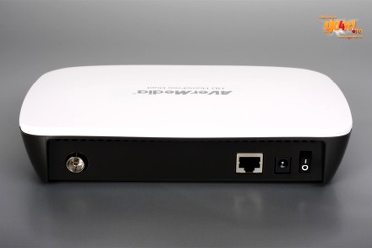 AVerMedia HD HomeFree Duet - conectorii