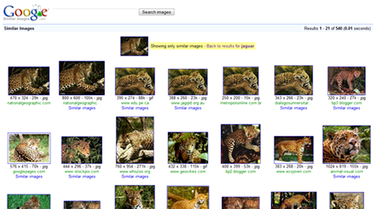 Google Similar Images