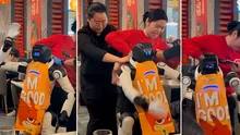Un robot chelner a început să spargă farfurii i să danseze în mijlocul unui restaurant