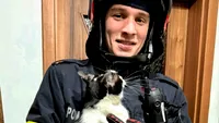 Final fericit pentru o pisică blocată sub acoperiș în Timișoara: A fost salvată de pompieri chiar înainte de Revelion (FOTO)