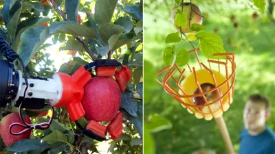 Culegătorii de mere din Washington vor fi înlocuiţi în curând de roboţi