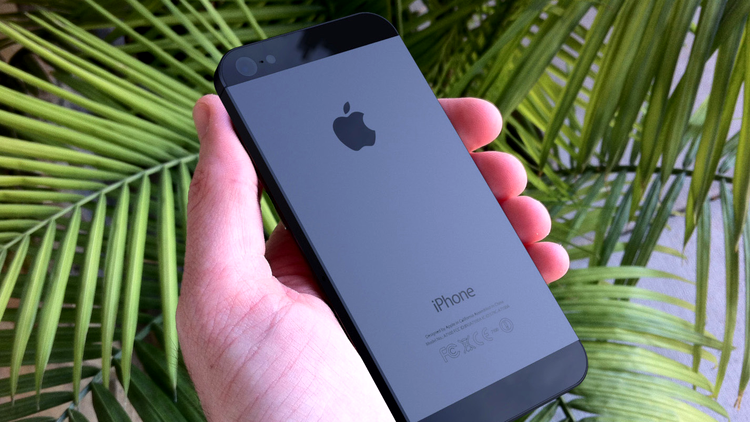 Apple iPhone 5 negru - vedere spate
