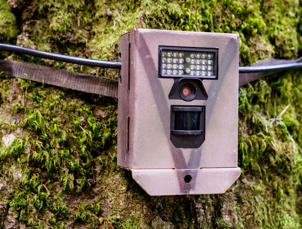 Ochiul digital din păduri, vandalizat: Cum răspunde Ministerul Mediului la distrugerea a nouă camere de supraveghere finanțate prin PNRR