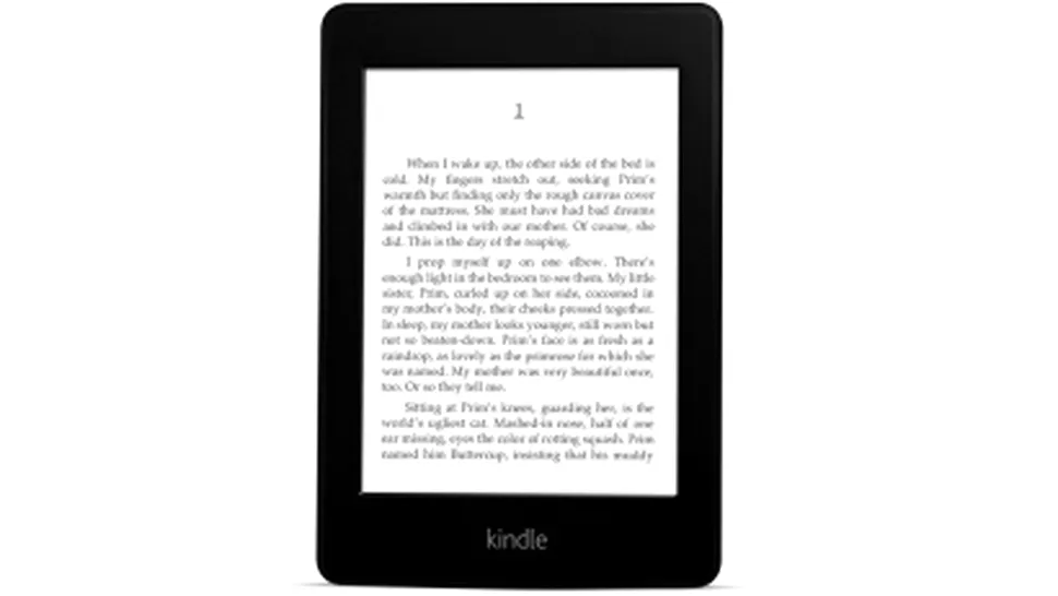 Ebook reader - este Kindle cel mai bun?