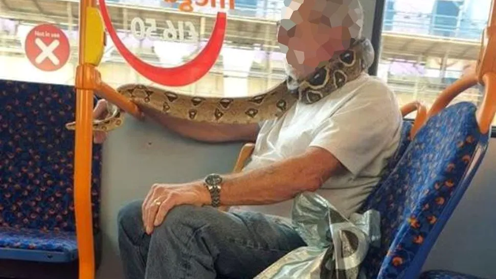 Bărbat, fotografiat într-un autobuz cu un șarpe viu pe post de mască