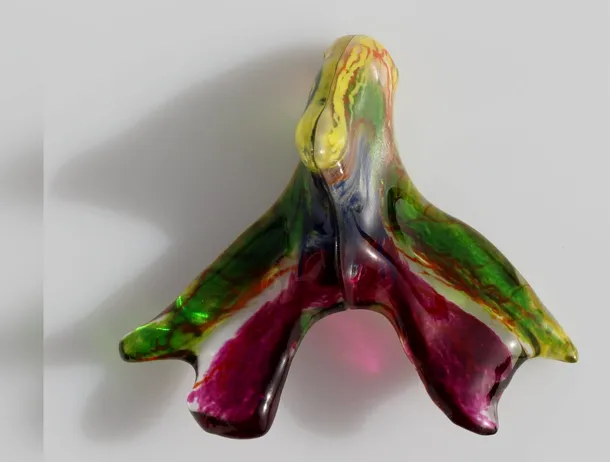 Prima hartă a întregii rețele de nervi clitoridieni a fost finalizată. Organul feminin a fost puțin studiat până acum