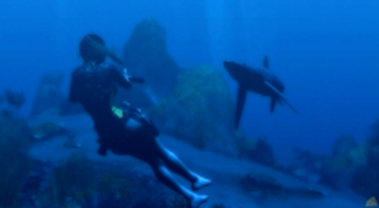 Tomb Raider: Underworld