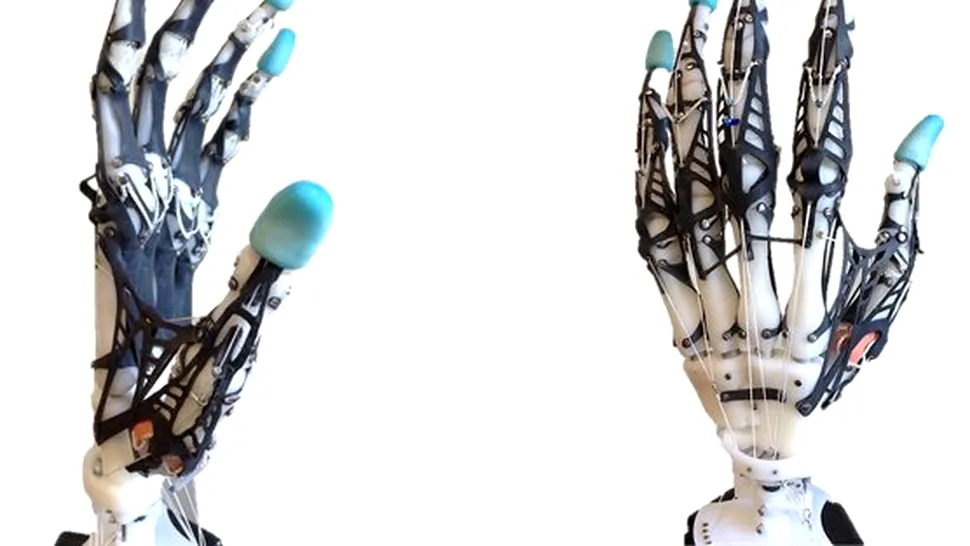 Cercetătorii intenţionează să crească tendoane umane pe o mână robotică avansată