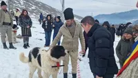 Parada uriașilor blănoși din Bucovina. Cei mai frumoși câini ciobănești au defilat la Stulpicani, în fața a mii de oameni (VIDEO)