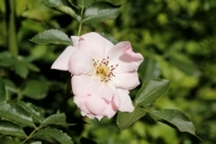 ISO 100, F11, 1/320 s