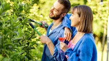 Top scule electrice Parkside și produse Livarno Home la prețuri bune în catalogul Lidl din august