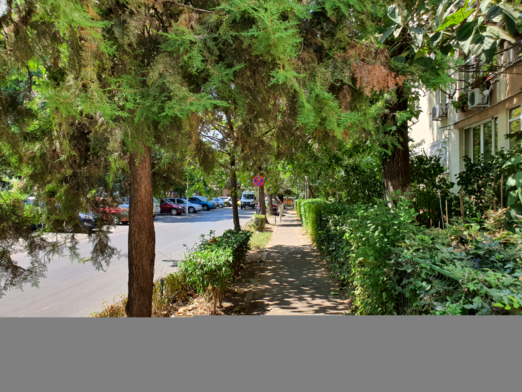 Samsung Galaxy Note10+ - Foto zi