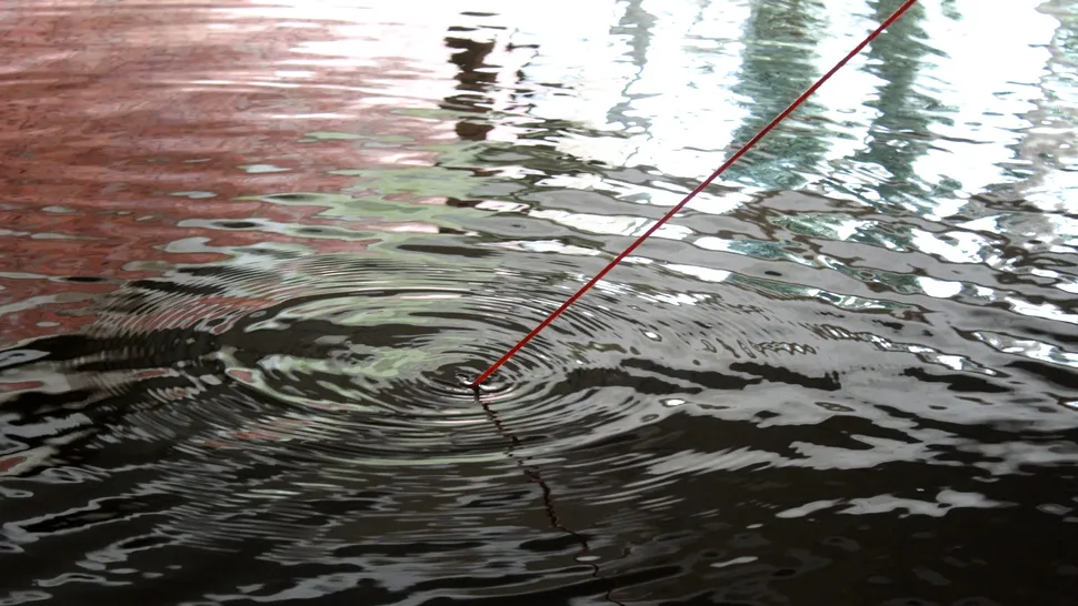 Doi copii care pescuiau cu un magnet au făcut o descoperire periculoasă într-un lac