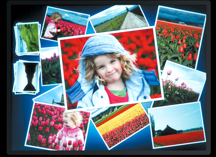 Album foto
