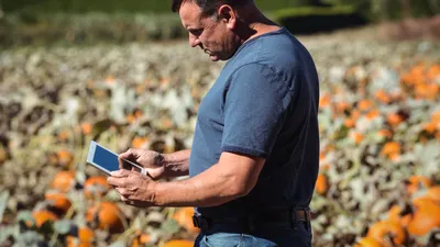 AFIR investește 4,6 mil. euro în modernizarea platformei sale informatice. Ce se schimbă pentru fermieri?