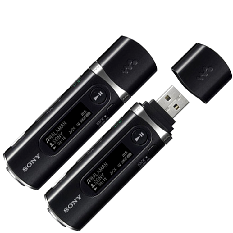 Sony Network Walkman NWD-B100