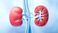 Poți pierde până la 80% din funcția rinichilor fără simptome. Semnele pe care medicii spun să nu le ignori