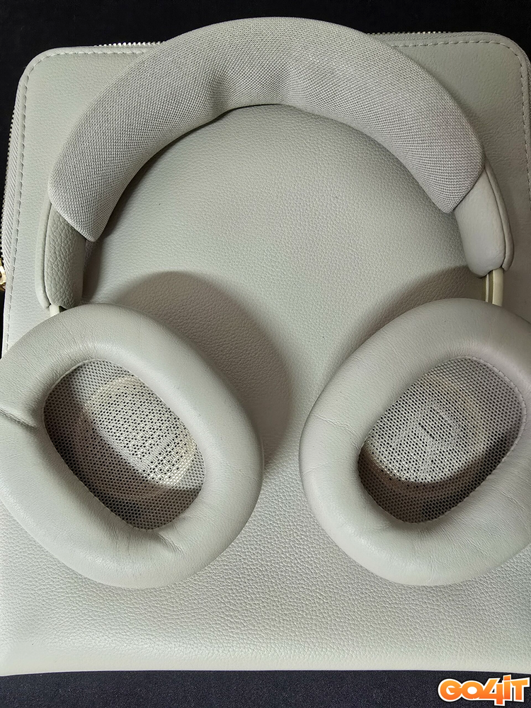 Bang & Olufsen Beoplay H100