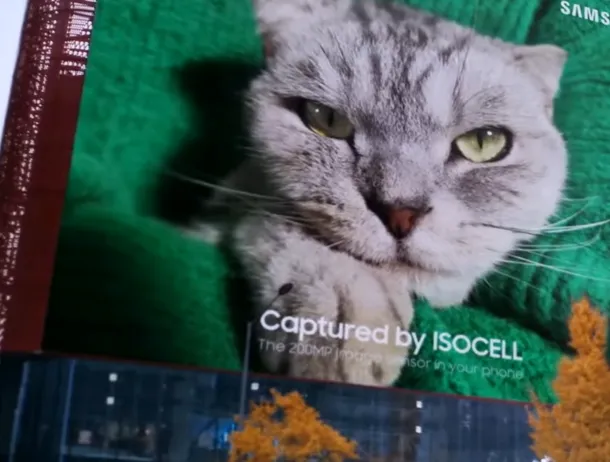Samsung demonstrează performanța senzorului de 200 megapixeli cu o poză cu pisici. VIDEO