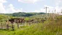 Chirie pentru proprietarii de teren. Banii pe care românii îi pot cere, dar statul probabil nu-i va plăti. Reguli dacă ai stâlpi sau o conductă pe teren